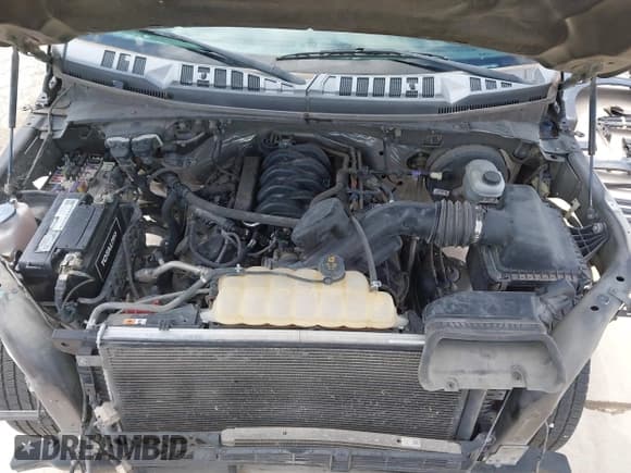 ✅ 2017 Ford F-150 XL • VIN: 1FTEW1CF8HKD20841 • Lot: 42441655. Wystawiony na IAAI z przebiegiem 247 973 mil. Bezpłatny archiwum sprzedaży aukcyjnych z USA i szczegółowy raport historii pojazdu na DreamBid. Zdjęcie 10.