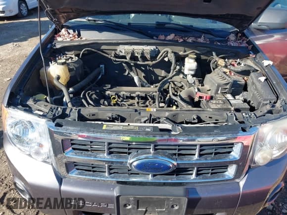 ✅ 2009 Ford Escape XLT • VIN: 1FMCU03799KC86292 • Lot: 43915919. Listed on IAAI with 163,766 mi. Free auction sales archive from the USA and detailed vehicle history report at DreamBid. Image 10.