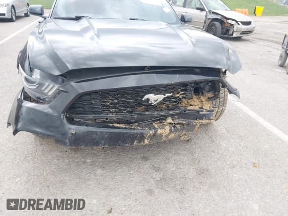 ✅ 2017 Ford Mustang V6 • VIN: 1FA6P8AM8H5280924 • Лот: 41938096. Опубликован ранее на IAAI с пробегом 167 622 миль. Бесплатный доступ к архиву аукционных продаж из США и подробный отчёт об истории автомобиля на DreamBid. Изображение 6.