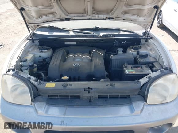✅ 2005 Hyundai Santa Fe GLS • VIN: KM8SC13DX5U910030 • Lot: 43011692. Listed on IAAI with 200,363 mi. Free auction sales archive from the USA and detailed vehicle history report at DreamBid. Image 10.