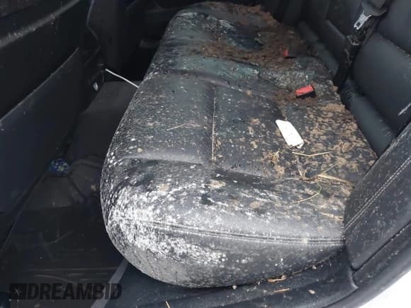 ✅ 2016 BMW 5 Series 535i • VIN: WBA5B1C55GG129685 • Лот: 43798708. Опубликован ранее на IAAI с пробегом Не указан. Бесплатный доступ к архиву аукционных продаж из США и подробный отчёт об истории автомобиля на DreamBid. Изображение 14.