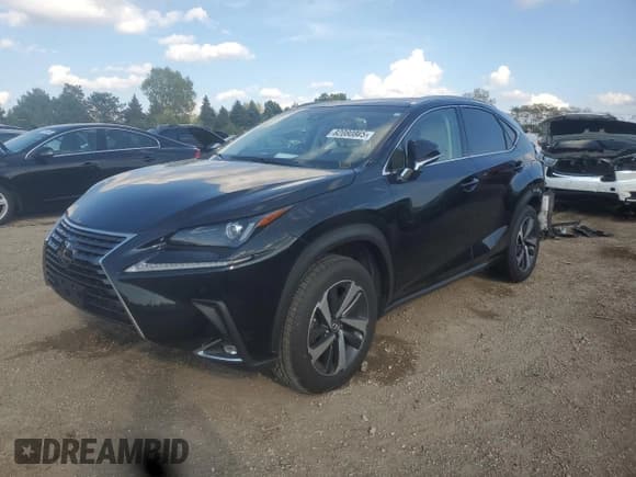 ✅ 2018 Lexus NX 300 • VIN: JTJBARBZ1J2162079 • Lot: 82080805. Listed on Copart with 75,662 mi. Free auction sales archive from the USA and detailed vehicle history report at DreamBid. Image 1.