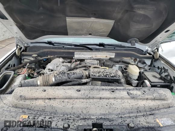 ✅ 2017 Chevrolet Silverado 2500HD Work Truck • VIN: 1GC1KUEY1HF194308 • Lot: 79211534. Wystawiony na Copart z przebiegiem 140 184 mil. Bezpłatny archiwum sprzedaży aukcyjnych z USA i szczegółowy raport historii pojazdu na DreamBid. Zdjęcie 11.