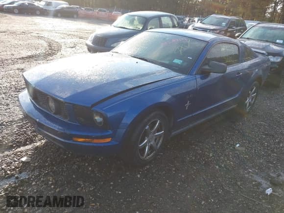 ✅ 2006 Ford Mustang Standard • VIN: 1ZVFT80N065219920 • Lot: 43519119. Wystawiony na IAAI z przebiegiem Nie podano. Bezpłatny archiwum sprzedaży aukcyjnych z USA i szczegółowy raport historii pojazdu na DreamBid. Zdjęcie 2.