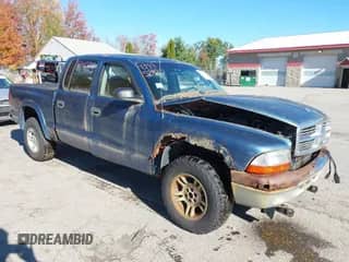 2004 Dodge Dakota SLT with VIN 1D7HG48N24S510369, listed as a IAAI auction lot 43495281 with 290,545 mi miles and . Bid and sale history available at DreamBid. Image 1.