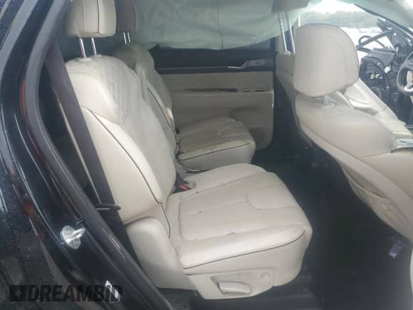 2020 Hyundai Palisade Limited с VIN KM8R54HE6LU055318, выставлен на аукционе Copart как лот 69340924 с пробегом Не указан миль и Списание • Salvage title. История ставок и продаж доступна на DreamBid. Изображение 11.