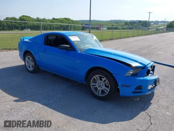 ✅ 2014 Ford Mustang V6 • VIN: 1ZVBP8AM5E5250006 • Lot: 42253136. Listed on IAAI with Not provided. Free auction sales archive from the USA and detailed vehicle history report at DreamBid. Image 1.