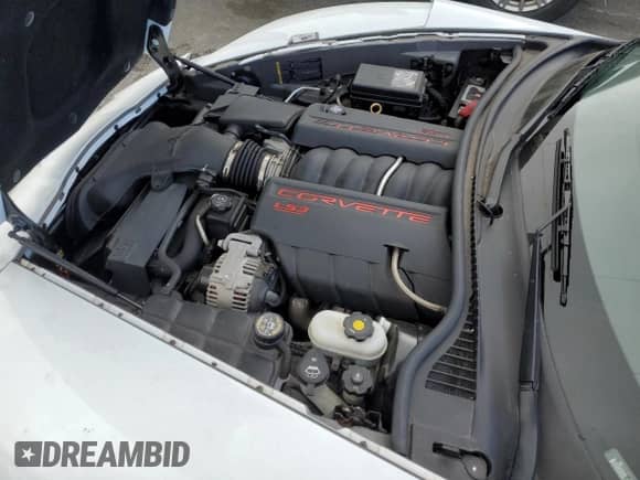 2009 Chevrolet Corvette with VIN 1G1YY36W295105043, listed as a Copart auction lot 50271875 with 8,865 mi miles and Salvage title. Bid and sale history available at DreamBid. Image 11.