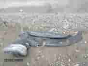 2022 Ram 1500 Laramie с VIN 1C6RREJM6NN185281, выставлен на аукционе IAAI как лот 41601966 с пробегом 88 986 миль миль и . История ставок и продаж доступна на DreamBid. Изображение 12.