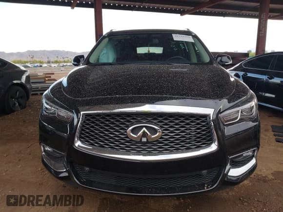 ✅ 2019 Infiniti QX60 Pure • VIN: 5N1DL0MN2KC509289 • Lot: 41939314. Listed on IAAI with 46,432 mi. Free auction sales archive from the USA and detailed vehicle history report at DreamBid. Image 13.