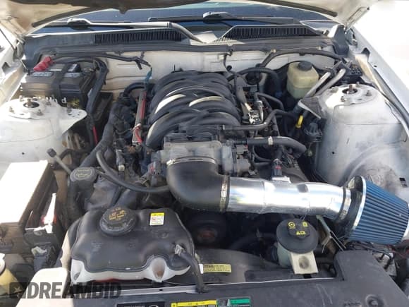 ✅ 2005 Ford Mustang GT Deluxe • VIN: 1ZVHT82H255233669 • Лот: 43479285. Опубликован ранее на IAAI с пробегом 245 239 миль. Бесплатный доступ к архиву аукционных продаж из США и подробный отчёт об истории автомобиля на DreamBid. Изображение 10.