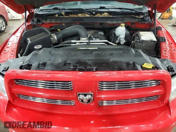 ✅ 2010 Dodge 1500 Laramie • VIN: 1D7RV1GT4AS207694 • Lot: 86002904. Wystawiony na Copart z przebiegiem 243 292 mil. Bezpłatny archiwum sprzedaży aukcyjnych z USA i szczegółowy raport historii pojazdu na DreamBid. Zdjęcie 11.