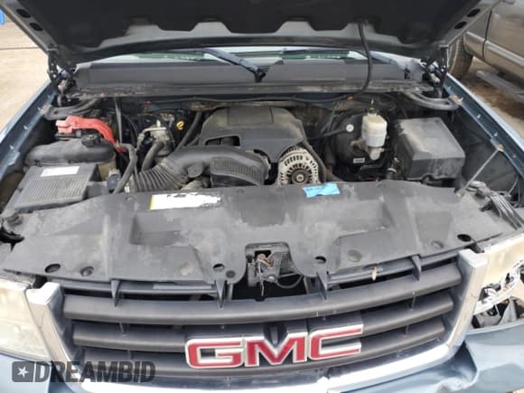 ✅ 2009 GMC Sierra 1500 • VIN: 3GTEK33279G148086 • Lot: 61407445. Wystawiony na Copart z przebiegiem 129 820 mil. Bezpłatny archiwum sprzedaży aukcyjnych z USA i szczegółowy raport historii pojazdu na DreamBid. Zdjęcie 11.