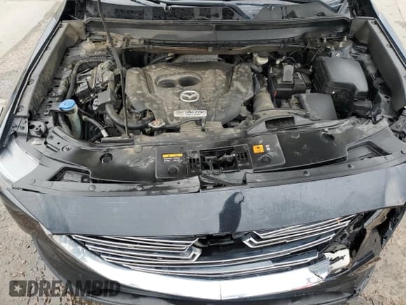 ✅ 2017 Mazda CX-9 Touring • VIN: JM3TCBCY0H0134561 • Lot: 64987525. Wystawiony na Copart z przebiegiem 121 483 mil. Bezpłatny archiwum sprzedaży aukcyjnych z USA i szczegółowy raport historii pojazdu na DreamBid. Zdjęcie 12.