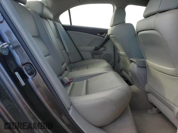 ✅ 2010 Acura TSX • VIN: JH4CU2F61AC007739 • Lot: 90133365. Wystawiony na Copart z przebiegiem 107 515 mil. Bezpłatny archiwum sprzedaży aukcyjnych z USA i szczegółowy raport historii pojazdu na DreamBid. Zdjęcie 10.