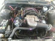 ✅ 2008 Ford Mustang GT Deluxe • VIN: 1ZVHT82H085159432 • Lot: 41028320. Listed on IAAI with 220,383 mi. Free auction sales archive from the USA and detailed vehicle history report at DreamBid. Image 10.