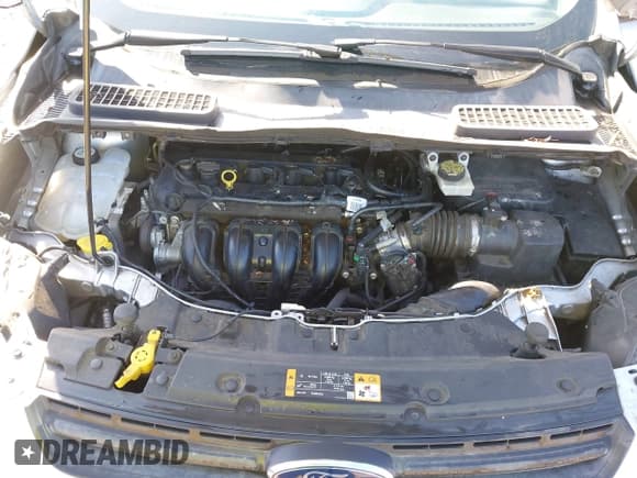 ✅ 2014 Ford Escape S • VIN: 1FMCU0F75EUD17533 • Lot: 43622490. Wystawiony na IAAI z przebiegiem 138 224 mil. Bezpłatny archiwum sprzedaży aukcyjnych z USA i szczegółowy raport historii pojazdu na DreamBid. Zdjęcie 10.