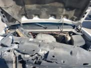 ✅ 2008 Chevrolet Silverado 1500 1LT • VIN: 1GCEC19C48Z118026 • Lot: 41141461. Listed on IAAI with Not provided. Free auction sales archive from the USA and detailed vehicle history report at DreamBid. Image 10.