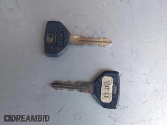 ✅ 2000 Dodge Dakota Sport • VIN: 1B7GG2AN7YS647799 • Lot: 42147404. Wystawiony na IAAI z przebiegiem 234 194 mil. Bezpłatny archiwum sprzedaży aukcyjnych z USA i szczegółowy raport historii pojazdu na DreamBid. Zdjęcie 11.