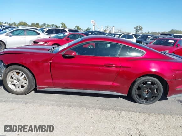 ✅ 2017 Ford Mustang V6 • VIN: 1FA6P8AM6H5244665 • Lot: 43218772. Listed on IAAI with 95,181 mi. Free auction sales archive from the USA and detailed vehicle history report at DreamBid. Image 13.