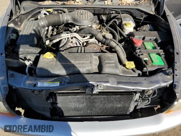 2002 Dodge Dakota SLT с VIN 1B7GL42X72S584170, выставлен на аукционе Copart как лот 77125564 с пробегом Не указан миль и Списание • Salvage title. История ставок и продаж доступна на DreamBid. Изображение 11.