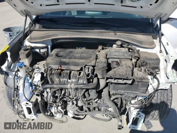 2020 Hyundai Santa Fe SEL z VIN 5NMS3CAD5LH303105, wystawiony jako Copart lot #85740335 z przebiegiem 83 187 mil mil oraz Szkoda całkowita • Salvage title. Historia ofert i sprzedaży dostępna na DreamBid. Obrazek 12.