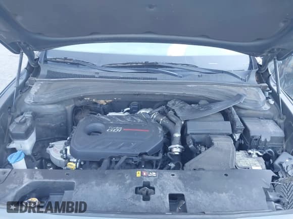 ✅ 2019 Hyundai Santa Fe Limited • VIN: 5NMS5CAA2KH075238 • Лот: 43467715. Опубликован ранее на IAAI с пробегом 125 796 миль. Бесплатный доступ к архиву аукционных продаж из США и подробный отчёт об истории автомобиля на DreamBid. Изображение 10.