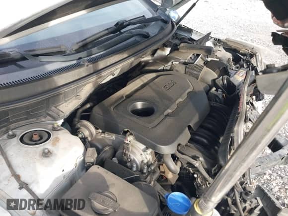 2016 Hyundai Sonata SE z VIN 5NPE24AF7GH336591, wystawiony jako IAAI lot #43367139 z przebiegiem 105 247 mil mil oraz . Historia ofert i sprzedaży dostępna na DreamBid. Obrazek 10.