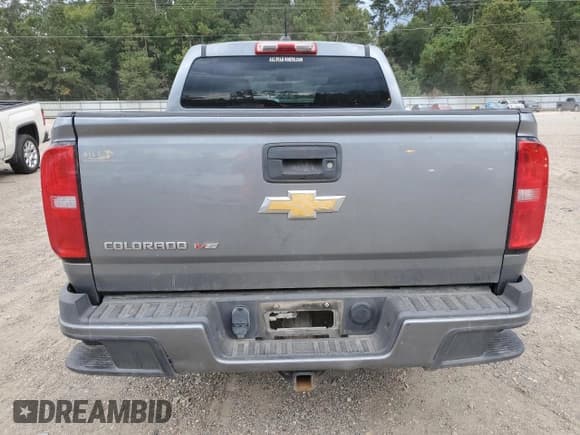 ✅ 2018 Chevrolet Colorado 2WD Work Truck • VIN: 1GCGSBEN6J1174207 • Lot: 81608775. Wystawiony na Copart z przebiegiem 169 154 mil. Bezpłatny archiwum sprzedaży aukcyjnych z USA i szczegółowy raport historii pojazdu na DreamBid. Zdjęcie 6.