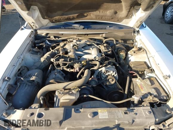 ✅ 2003 Ford Mustang Standard • VIN: 1FAFP40483F304247 • Лот: 43909183. Опубликован ранее на IAAI с пробегом 138 933 миль. Бесплатный доступ к архиву аукционных продаж из США и подробный отчёт об истории автомобиля на DreamBid. Изображение 10.