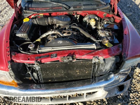 ✅ 1998 Dodge Dakota SLT • VIN: 1B7GG22Y6WS584989 • Lot: 77398674. Wystawiony na Copart z przebiegiem 171 923 mil. Bezpłatny archiwum sprzedaży aukcyjnych z USA i szczegółowy raport historii pojazdu na DreamBid. Zdjęcie 11.