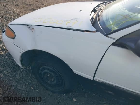 ✅ 1997 Ford Escort LX • VIN: 3FALP15P1VR124828 • Lot: 42128530. Listed on IAAI with Not provided. Free auction sales archive from the USA and detailed vehicle history report at DreamBid. Image 6.