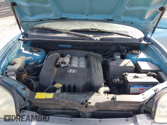 ✅ 2004 Hyundai Santa Fe GLS • VIN: KM8SC73D14U760794 • Лот: 43508860. Опубликован ранее на IAAI с пробегом Не указан. Бесплатный доступ к архиву аукционных продаж из США и подробный отчёт об истории автомобиля на DreamBid. Изображение 10.