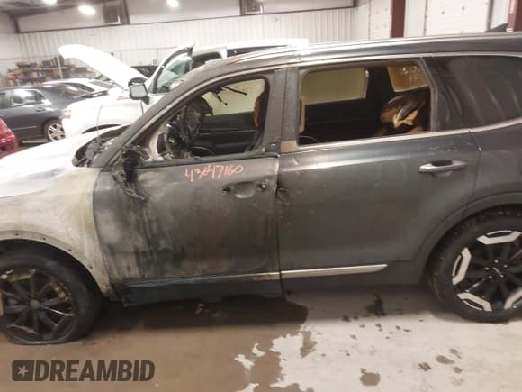 ✅ 2024 Kia Telluride S • VIN: 5XYP6DGC0RG520064 • Lot: 43647160. Listed on IAAI with 37,801 mi. Free auction sales archive from the USA and detailed vehicle history report at DreamBid. Image 14.