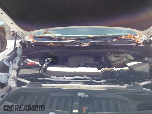 ✅ 2019 Chevrolet Silverado 1500 LT • VIN: 1GCPWCEK4KZ167825 • Lot: 43790842. Wystawiony na IAAI z przebiegiem 150 517 mil. Bezpłatny archiwum sprzedaży aukcyjnych z USA i szczegółowy raport historii pojazdu na DreamBid. Zdjęcie 10.