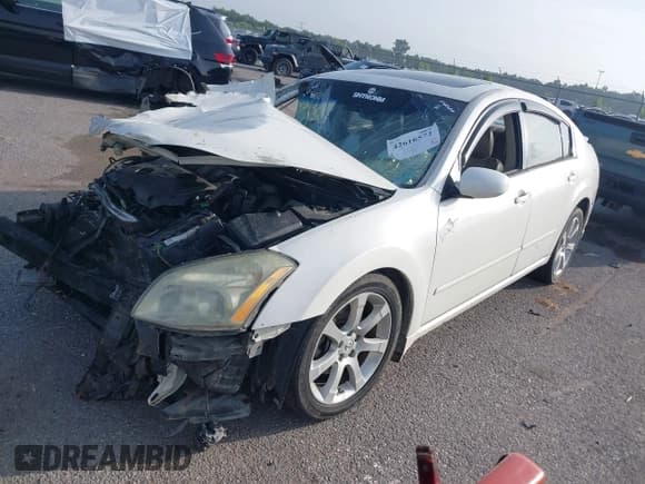 ✅ 2008 Nissan Maxima SE • VIN: 1N4BA41E78C824679 • Lot: 42616572. Listed on IAAI with Not provided. Free auction sales archive from the USA and detailed vehicle history report at DreamBid. Image 2.