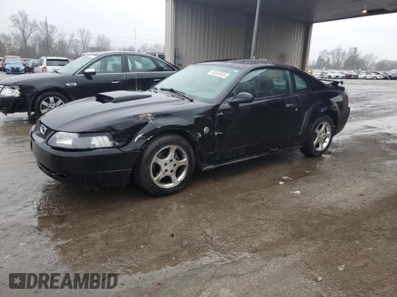 ✅ 2004 Ford Mustang Standard • VIN: 1FAFP40664F202299 • Lot: 43393505. Wystawiony na Copart z przebiegiem 147 047 mil. Bezpłatny archiwum sprzedaży aukcyjnych z USA i szczegółowy raport historii pojazdu na DreamBid. Zdjęcie 1.