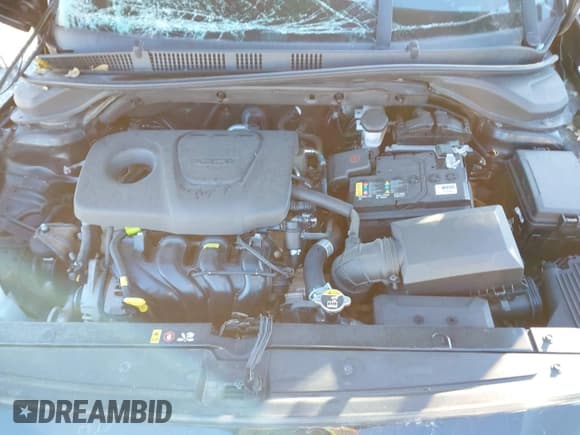 ✅ 2019 Hyundai Accent SE • VIN: 3KPC24A36KE052346 • Лот: 40960617. Опубликован ранее на IAAI с пробегом Не указан. Бесплатный доступ к архиву аукционных продаж из США и подробный отчёт об истории автомобиля на DreamBid. Изображение 10.