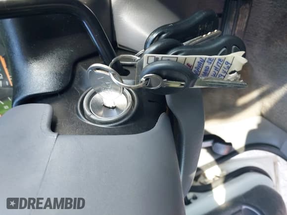 ✅ 1999 Dodge Caravan SE • VIN: 1B4GP44L3XB859469 • Lot: 43680740. Wystawiony na IAAI z przebiegiem 161 635 mil. Bezpłatny archiwum sprzedaży aukcyjnych z USA i szczegółowy raport historii pojazdu na DreamBid. Zdjęcie 11.