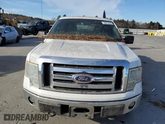 ✅ 2010 Ford F-150 XL • VIN: 1FTEW1E83AFB29065 • Lot: 93012975. Listed on Copart with 187,814 mi. Free auction sales archive from the USA and detailed vehicle history report at DreamBid. Image 5.