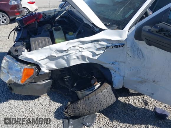 ✅ 2014 Ford F-150 XL • VIN: 1FTMF1CM6EKE34293 • Lot: 43519185. Wystawiony na IAAI z przebiegiem 143 807 mil. Bezpłatny archiwum sprzedaży aukcyjnych z USA i szczegółowy raport historii pojazdu na DreamBid. Zdjęcie 6.