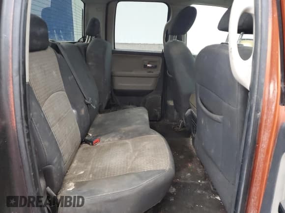 ✅ 2010 Dodge 1500 SLT • VIN: 1D7RV1GT5AS167254 • Lot: 45460185. Wystawiony na Copart z przebiegiem 292 852 mil. Bezpłatny archiwum sprzedaży aukcyjnych z USA i szczegółowy raport historii pojazdu na DreamBid. Zdjęcie 10.