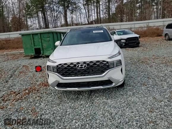 ✅ 2023 Hyundai Santa Fe Calligraphy • VIN: 5NMS5DAL6PH520093 • Lot: 94266635. Listed on Copart with 58,112 mi. Free auction sales archive from the USA and detailed vehicle history report at DreamBid. Image 14.