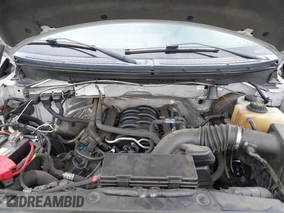 ✅ 2013 Ford F-150 XL • VIN: 1FTMF1CF8DKE07256 • Лот: 42530651. Опубликован ранее на IAAI с пробегом Не указан. Бесплатный доступ к архиву аукционных продаж из США и подробный отчёт об истории автомобиля на DreamBid. Изображение 10.