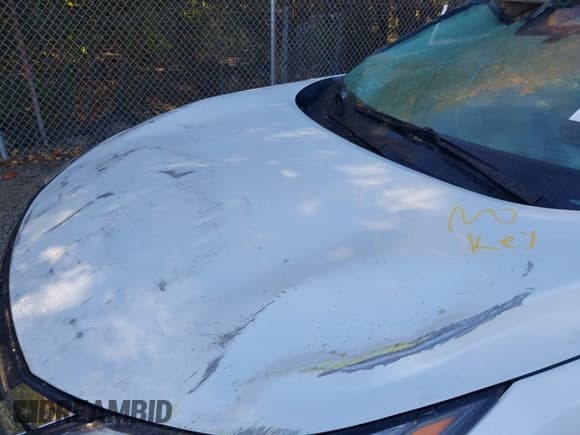 ✅ 2025 Nissan Rogue S • VIN: 5N1BT3ABXSC774271 • Лот: 43629385. Опубликован ранее на IAAI с пробегом 16 232 миль. Бесплатный доступ к архиву аукционных продаж из США и подробный отчёт об истории автомобиля на DreamBid. Изображение 6.