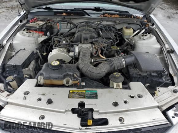 ✅ 2005 Ford Mustang Deluxe • VIN: 1ZVFT80NX55153066 • Lot: 82753745. Wystawiony na Copart z przebiegiem 163 122 mil. Bezpłatny archiwum sprzedaży aukcyjnych z USA i szczegółowy raport historii pojazdu na DreamBid. Zdjęcie 11.