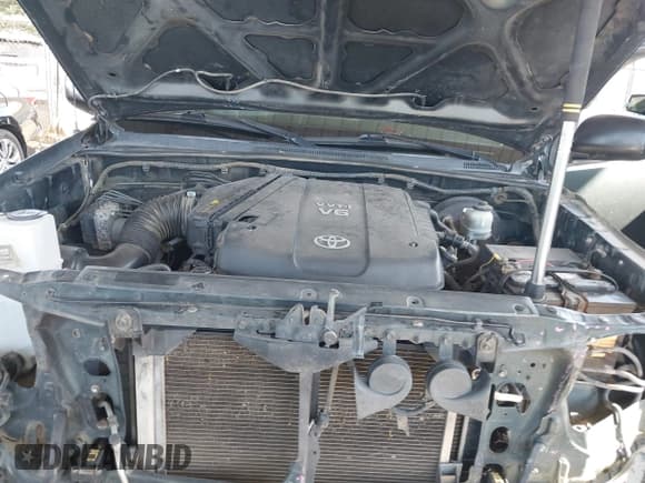 ✅ 2011 Toyota Tacoma PreRunner • VIN: 3TMJU4GN2BM119542 • Лот: 42979661. Опубликован ранее на IAAI с пробегом 194 041 миль. Бесплатный доступ к архиву аукционных продаж из США и подробный отчёт об истории автомобиля на DreamBid. Изображение 10.