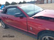 ✅ 2006 Ford Mustang Standard • VIN: 1ZVFT84N765152002 • Lot: 41806483. Listed on IAAI with 154,497 mi. Free auction sales archive from the USA and detailed vehicle history report at DreamBid. Image 13.