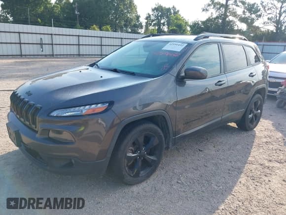 ✅ 2017 Jeep Cherokee Limited • VIN: 1C4PJLDB6HW593154 • Lot: 42591432. Listed on IAAI with 99,935 mi. Free auction sales archive from the USA and detailed vehicle history report at DreamBid. Image 2.