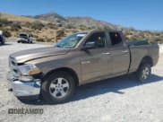 ✅ 2010 Dodge 1500 SLT • VIN: 1D7RV1GP4AS113429 • Lot: 68905405. Listed on Copart with Not provided. Free auction sales archive from the USA and detailed vehicle history report at DreamBid. Image 1.